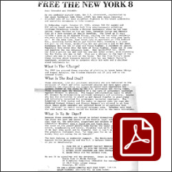 Free the New York 8 Flyer