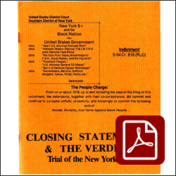 Closing Statements & The Verdict: Trial of the New York 8+