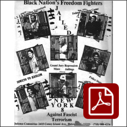 Black Nation